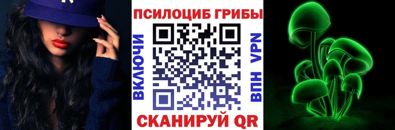 Галлюциногенные грибы Psilocybine cubensis  Красновишерск 